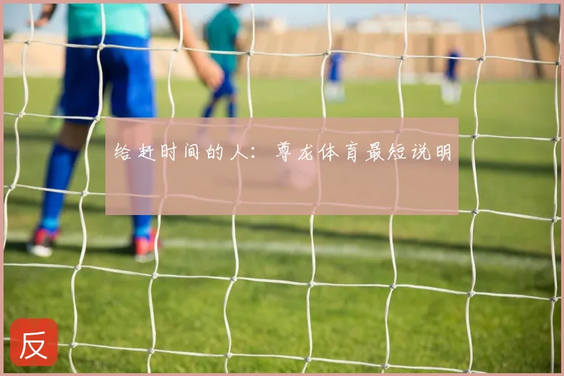 给赶时间的人：尊龙体育最短说明